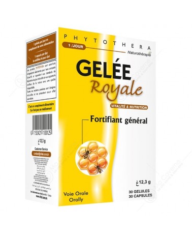 VITAL Phytothera Gelée Royale Bt30 Gél.-1