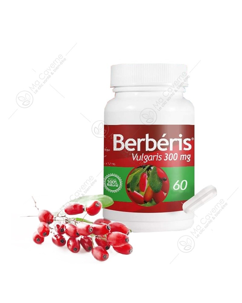 PHYTO D'ART Berbéris Vulgaris 300mg 60Gél