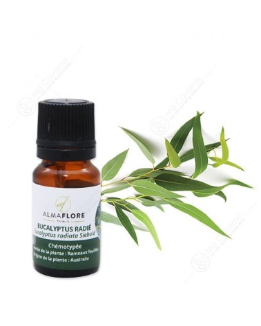 ALMAFLORE Huile Essentielle D'Eucalyptus Radié 10ml-1